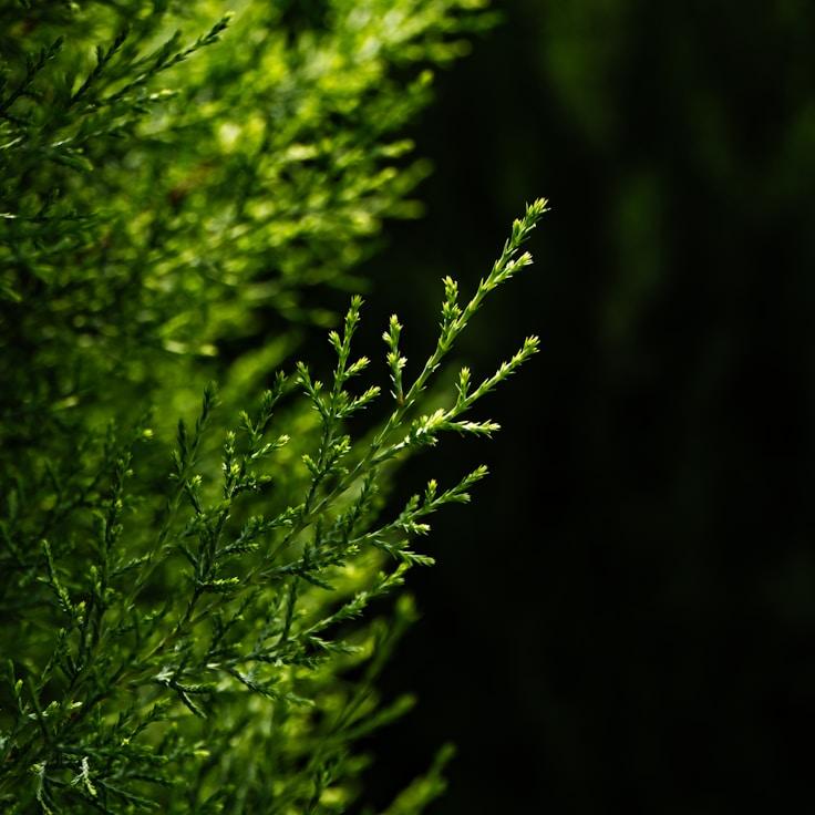 Protected areas overview